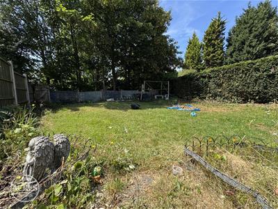 Picture 30